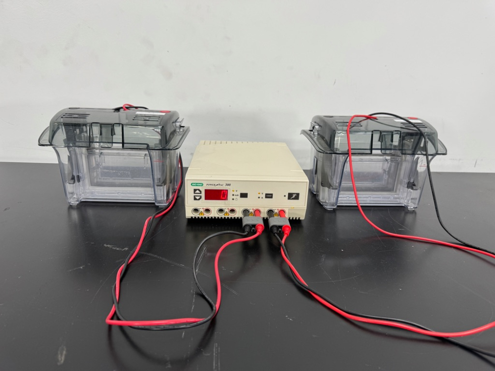 Image of Bio-Rad PowerPac 300 Power Supply